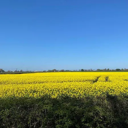 Beautiful Countryside House With Jacuzzi Close To Dublin * دونبوين